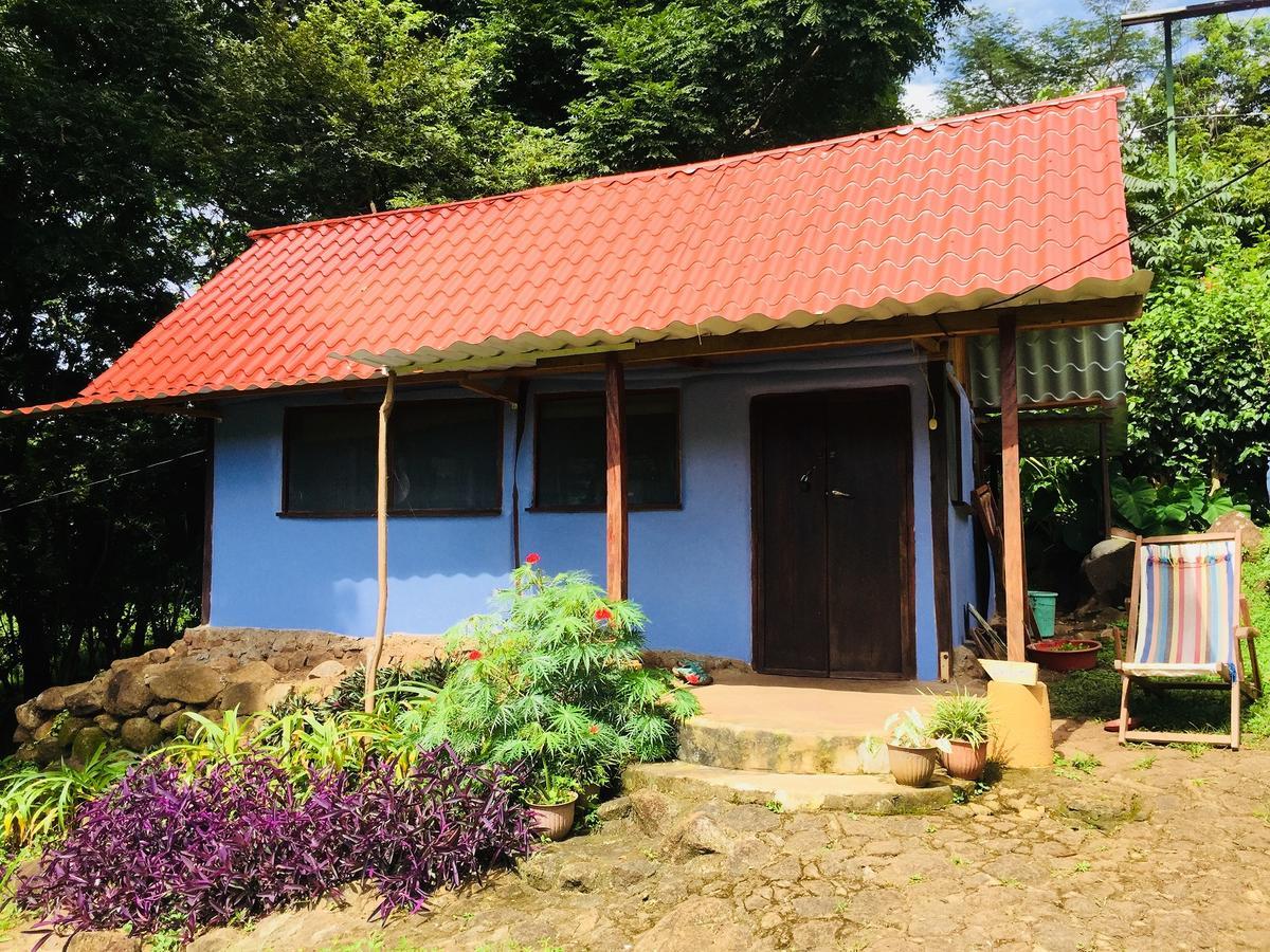 Finca Del Sol Eco Lodge Santa Cruz المظهر الخارجي الصورة